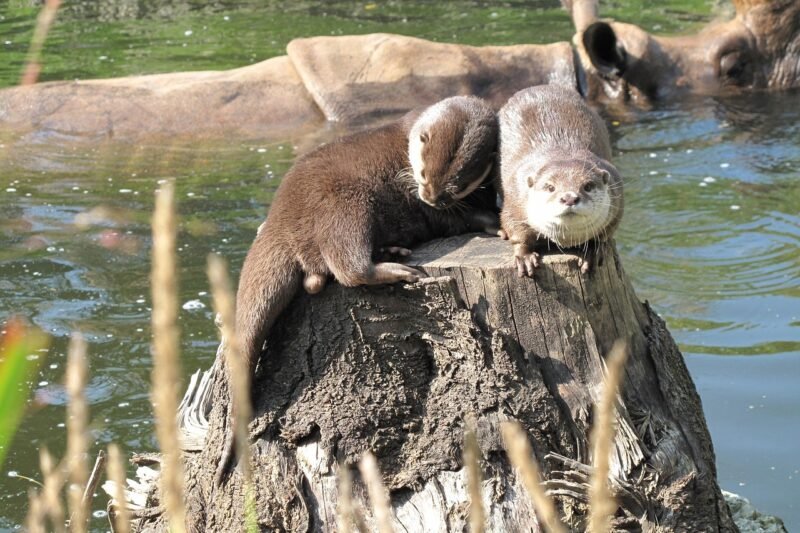 Vida y comunidad en la residencia cardenal spinola